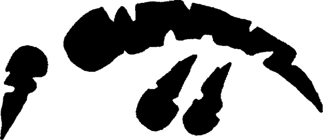 File:GlyphLostCub.png