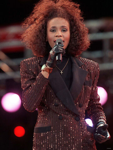 File:Whitneynelsonmandela.jpg