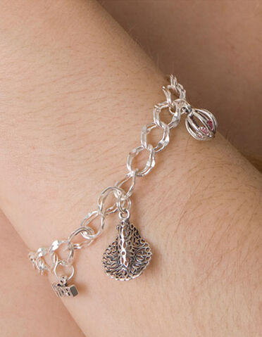 File:Charm-BraceletMED.jpg