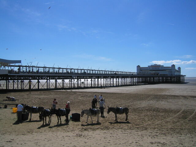 Plik:WestonPier.jpg