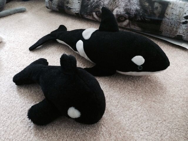 Plik:Whale family by Wolfchick36.jpg