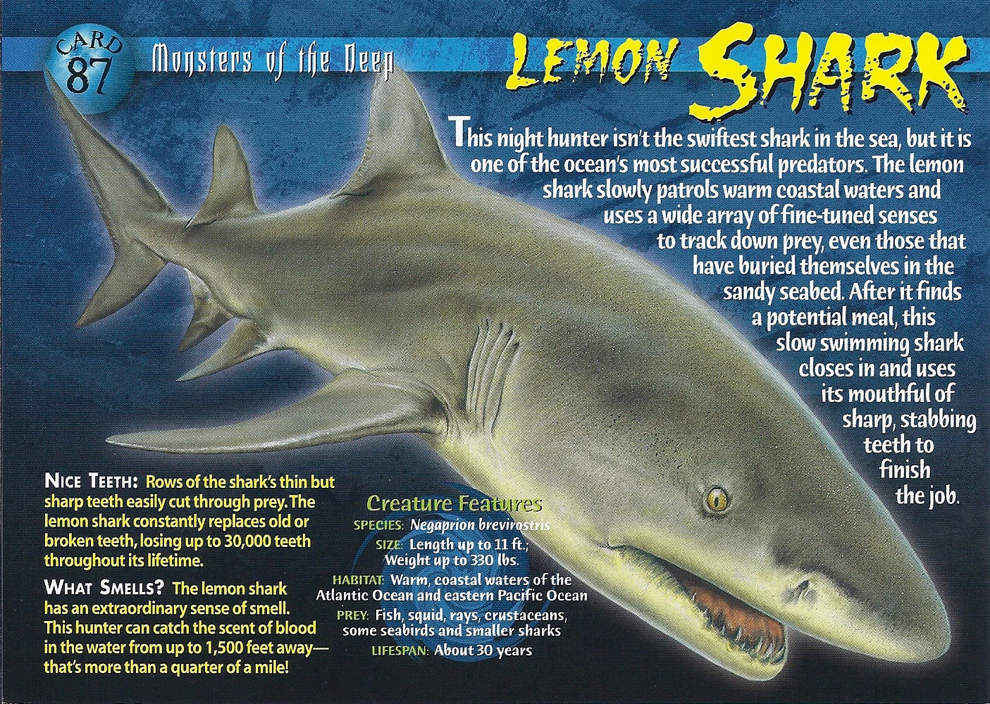 Lemon Shark | Wierd N'wild Creatures Wiki | FANDOM powered by Wikia