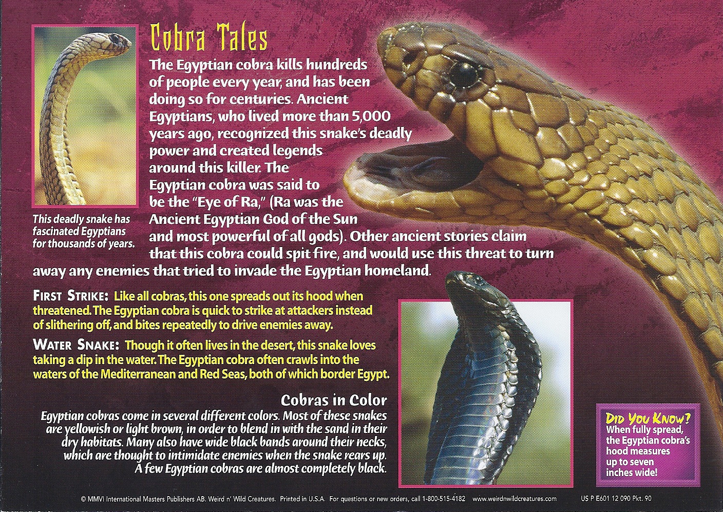 Wild Cobra