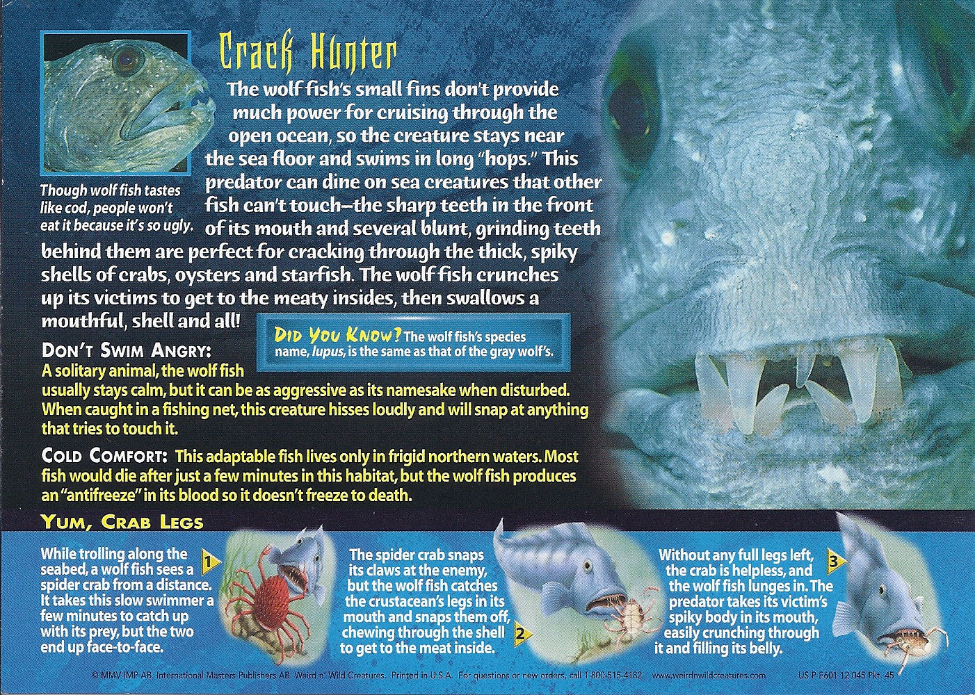 Image - Wolf Fish back.jpg | Wierd N'wild Creatures Wiki | FANDOM