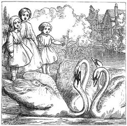 Ugly Duckling 2