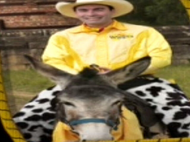 File:TheWigglyTrail-PromoPicture.jpg