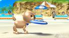 Disc dog