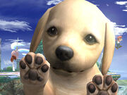 Nintendog