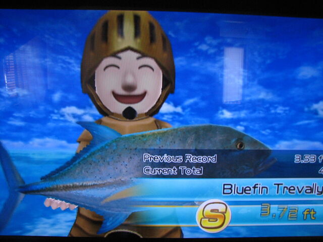 File:S rank Bluefin Travally.jpg
