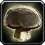 Inv mushroom 13.png
