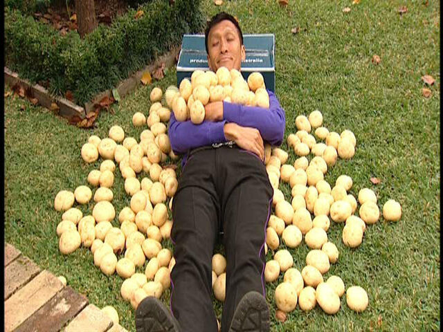 File:JeffSleepingonPotatoes.jpg