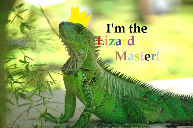 File:Lizard master.jpg