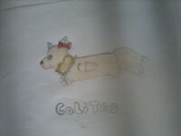 Colitas