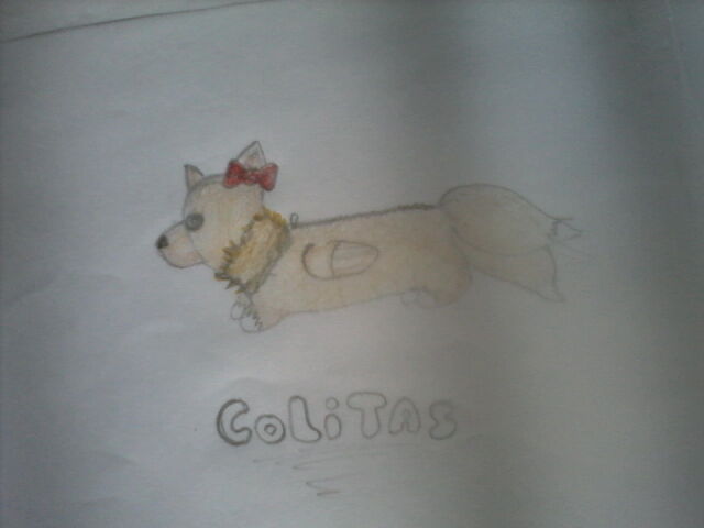 Archivo:Colitas.jpg