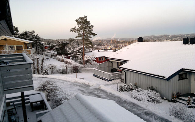 Fil:Full Vinter.bmp.jpg