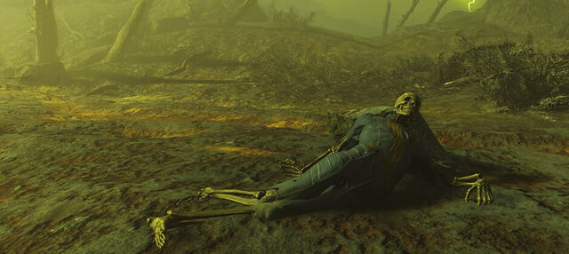 Файл:Fallout-4-Far-Harbor-2.jpg