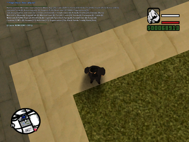ملف:Sa-mp-051.png