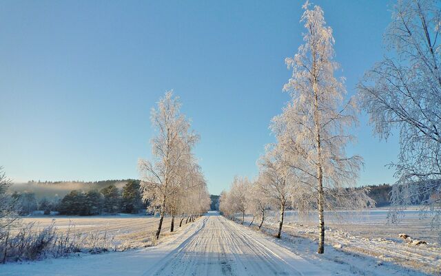 Fil:Vinter.jpg