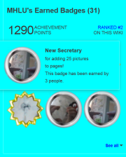 180px-Utmerkelse info.png