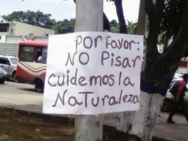 Archivo:228125 103362909753772 100002401902064 27377 4437916 n.jpg