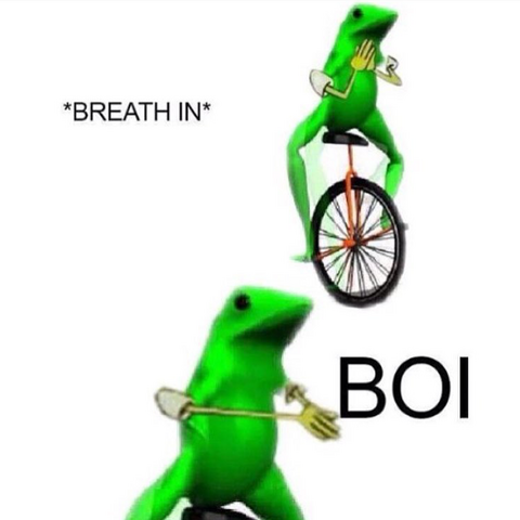 File:Boimeme.png