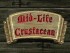 Arquivo:70px-Mid-Life Crustacean.jpg