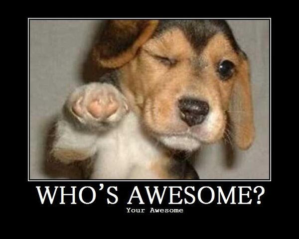 File:Awesome.jpg