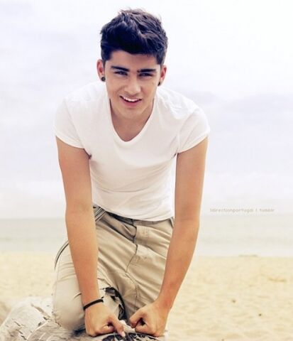 Archivo:Zayn 2.jpg