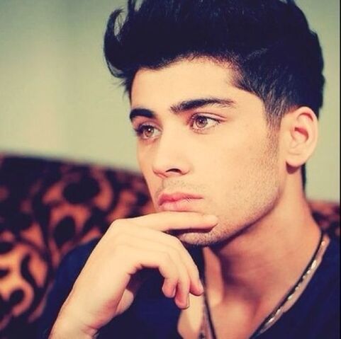 Archivo:Zayn Javadd.jpeg