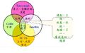 於2008年11月22日 (六) 06:12的縮圖版本