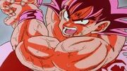 Kaio-ken X4