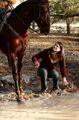Thumbnail for version as of 18:44, December 13, 2011