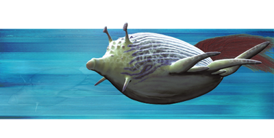 Reef Glider.png