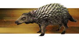 Desert-rattleback.png