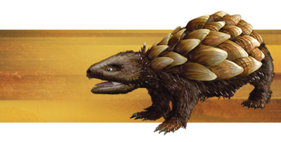 Common-rattleback.png