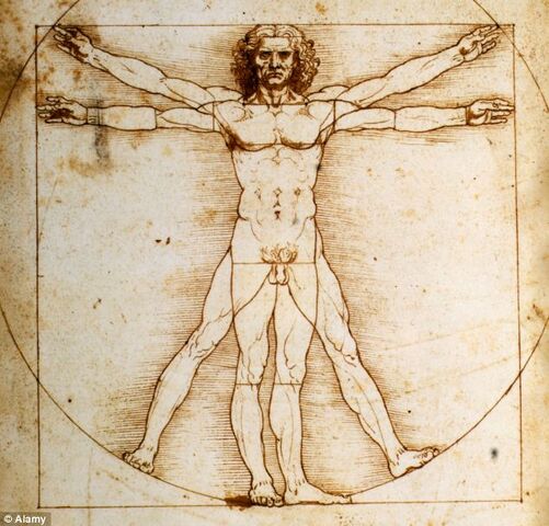 File:Vitruvianman.jpg