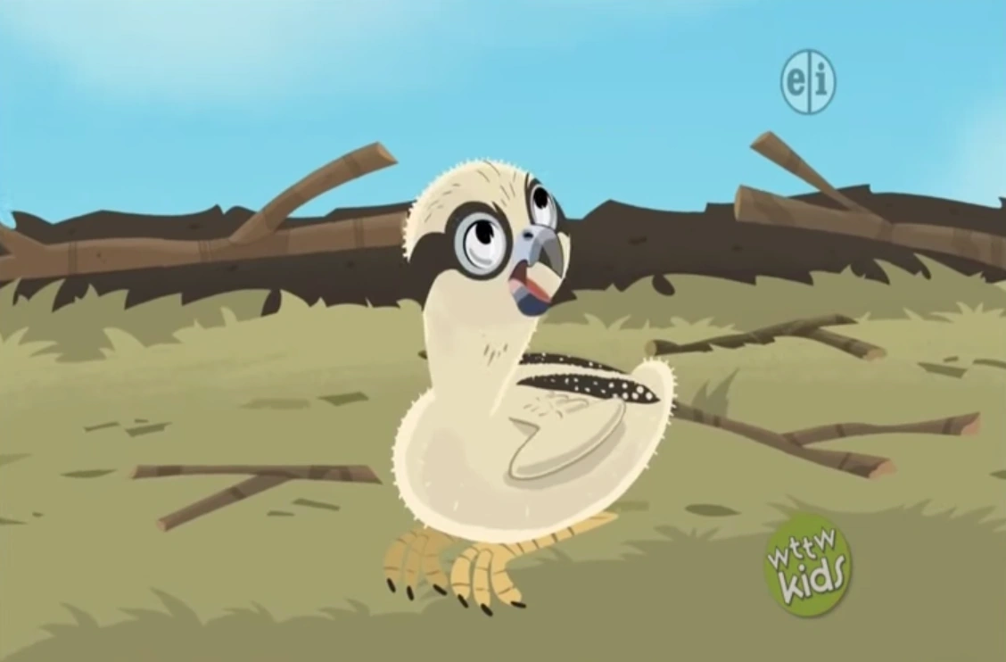 Image Fluffy Fliert.png Wild Kratts Wiki FANDOM powered by Wikia