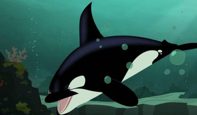 Image - Killer Whale-Wild Kratts.PNG | Wild Kratts Wiki | FANDOM