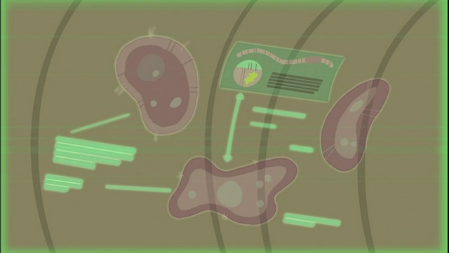 File:Pod.png