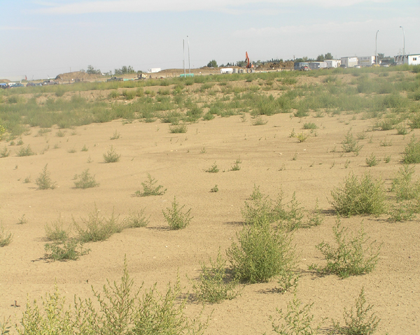 File:Habitat, Scrubland.png