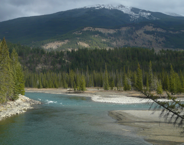 File:Habitat, mountain, alpine stream.png