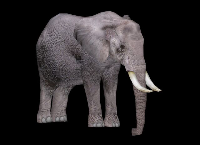 File:African Elephant WP2 Profile.jpg