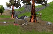 Gastornis