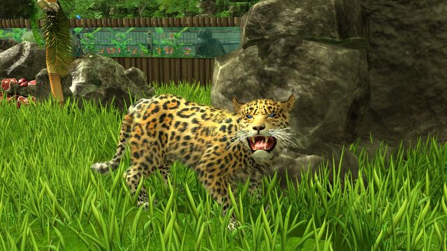 File:Wildlifepark3 jaguar.jpg