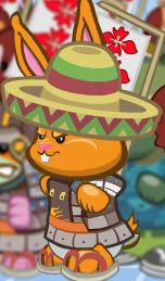 Mixican sombrero