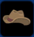 Cowboy Hat Pet
