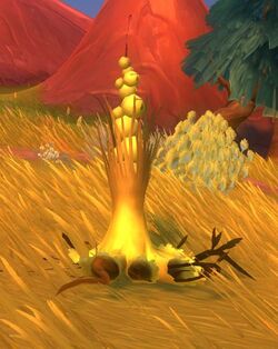 Yellowbell