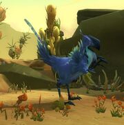 Sunbeak Striker
