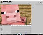 Pigs
