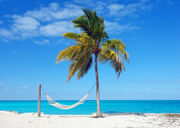 Holiday